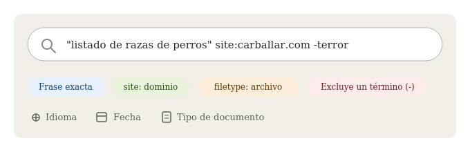 imagen2 2